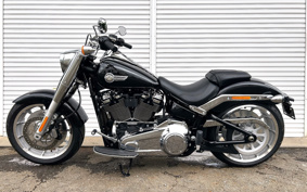 HARLEY FLFBS 2025 YGK