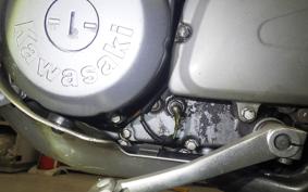 KAWASAKI SUPER SHERPA 2021 KL250G