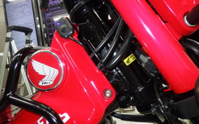 HONDA CT125 HUNTER CUB JA55