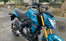 KAWASAKI Z125 PRO BR125H