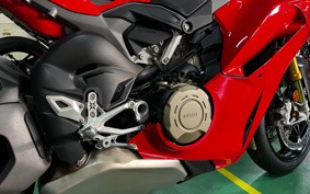 DUCATI PANIGA-REV4S 2025 5D00