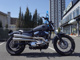 Фото Harley XL1200C 2003 с японского аукциона