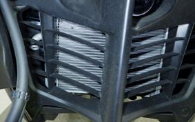 YAMAHA TRICITY 300 2021 SH15J