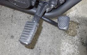 YAMAHA VIRAGO 250 3DM