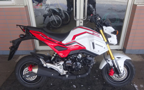 HONDA GROM JC75