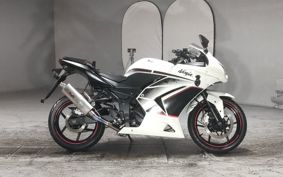 KAWASAKI NINJA250R EX250K