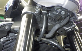 YAMAHA MT-09 2024 RN87J