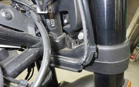 HUSQVARNA SVARTPILEN 401 2022