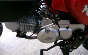 HONDA MONKEY 125 JB03