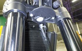 HARLEY X500 2024