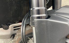 HARLEY PAN AMERICA 1250 2021 ZDS