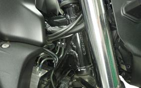SUZUKI ｼﾞｸｻｰ250 ED22Y