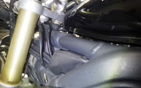 TRIUMPH STREET TRIPLE 2008