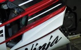 KAWASAKI ZX 1400 NINJA R A 2020