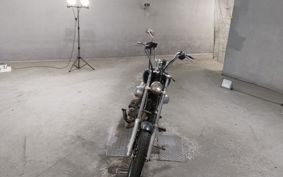 YAMAHA VIRAGO 250 3DM