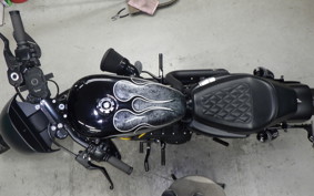 HARLEY XL1200NS 2021