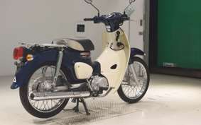 HONDA C110 SUPER CUB