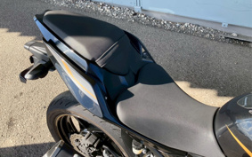 KAWASAKI NINJA 250 EX250P