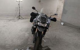 TRIUMPH TRIUMPH TIGER EXPLORER V1F11E