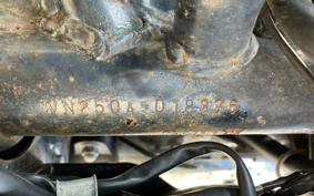 KAWASAKI ELIMINATOR 250V VN250A