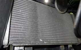 KAWASAKI NINJA 250 2006 EX250L