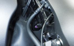 HONDA C125 SUPER CUB 2022 JA58