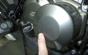 KAWASAKI Z125 PRO 2024 BR125H