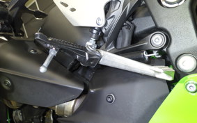 KAWASAKI NINJA ZX-6R A 2023 ZX636G