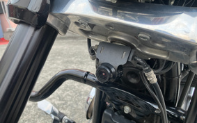 HARLEY FLSB 2019 YMJ