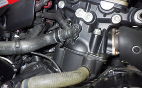 DUCATI SS937S 2019