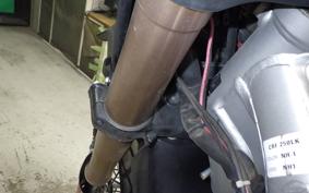 HONDA CRF250L 2021 MD44