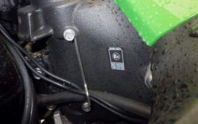 KAWASAKI ZX 1400 NINJA R A 2014