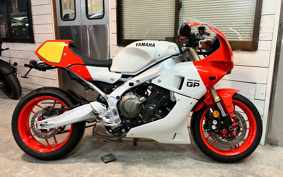YAMAHA XSR900 GP 2024 RN96J