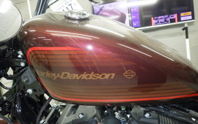 HARLEY XL1200NS 2019