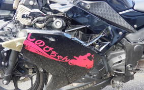 KAWASAKI NINJA 250 EX250L