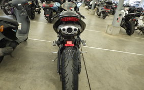 TRIUMPH DAYTONA 675 2009