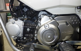 HONDA CT125-2 2024 JA65