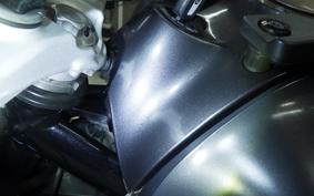 HUSQVARNA SVARTPILEN 401 2021