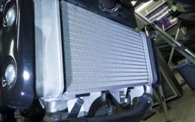 YAMAHA XSR125 2024 RE46J