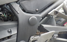 KAWASAKI NINJA 250 ABS EX250L