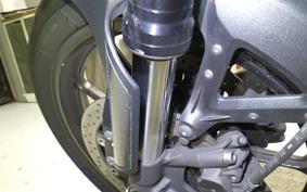 SUZUKI DL1000 ( V-Strom 1050 ) 2023 EF11M
