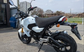 HONDA GROM JC92