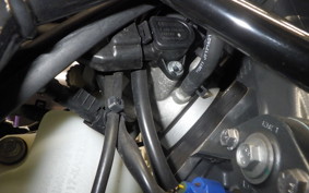 KTM 250 ADVENTURE 2024