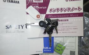 YAMAHA N-MAX 1996 SED6J