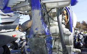 YAMAHA WR250F