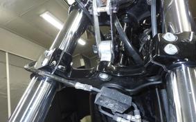 HARLEY XL1200XS 2018