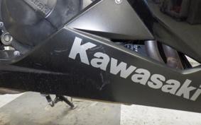 KAWASAKI NINJA 250 EX250L