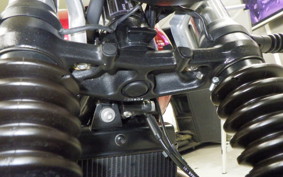 TRIUMPH SPEED TWIN 900 2024