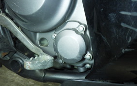 HONDA CRF250 RALLY A 1994 MD44