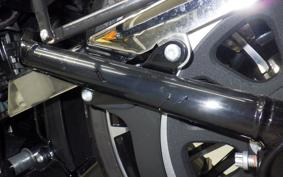 HARLEY FXBR1920 2025